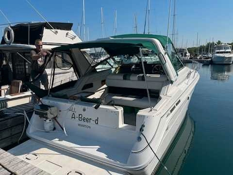 Searay 280 1989 in Powerboats & Motorboats in Owen Sound - Image 3