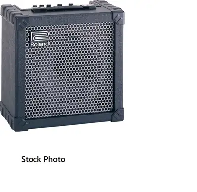 Roland Cube 30 Guitar Amplifier, View more