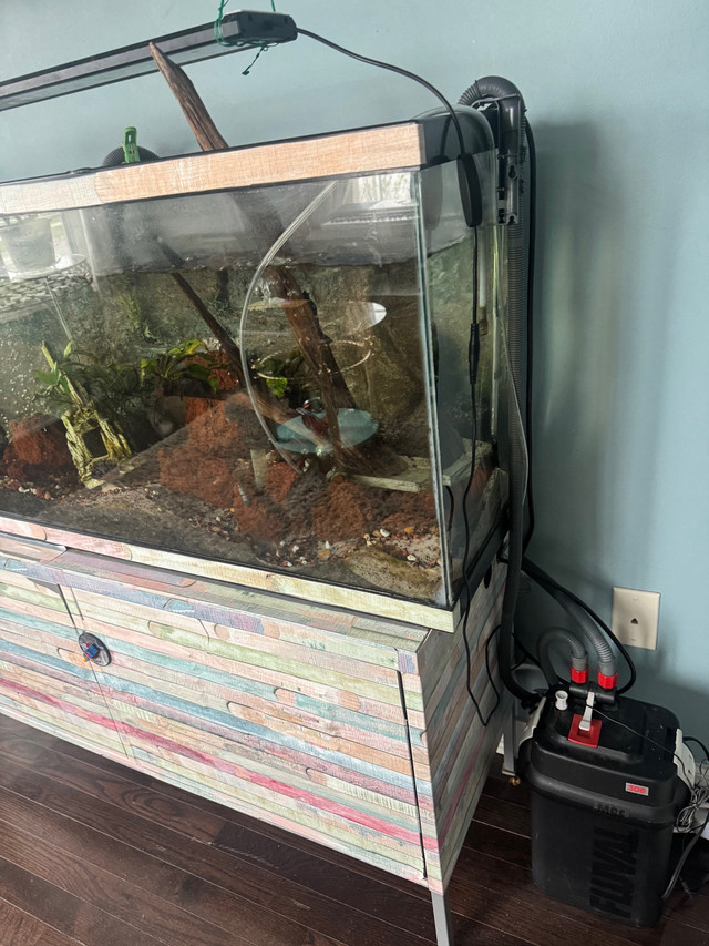 65 gallon aquarium  in Fish for Rehoming in Markham / York Region