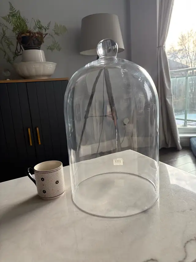 Glass cloche in Home Décor & Accents in City of Toronto - Image 4