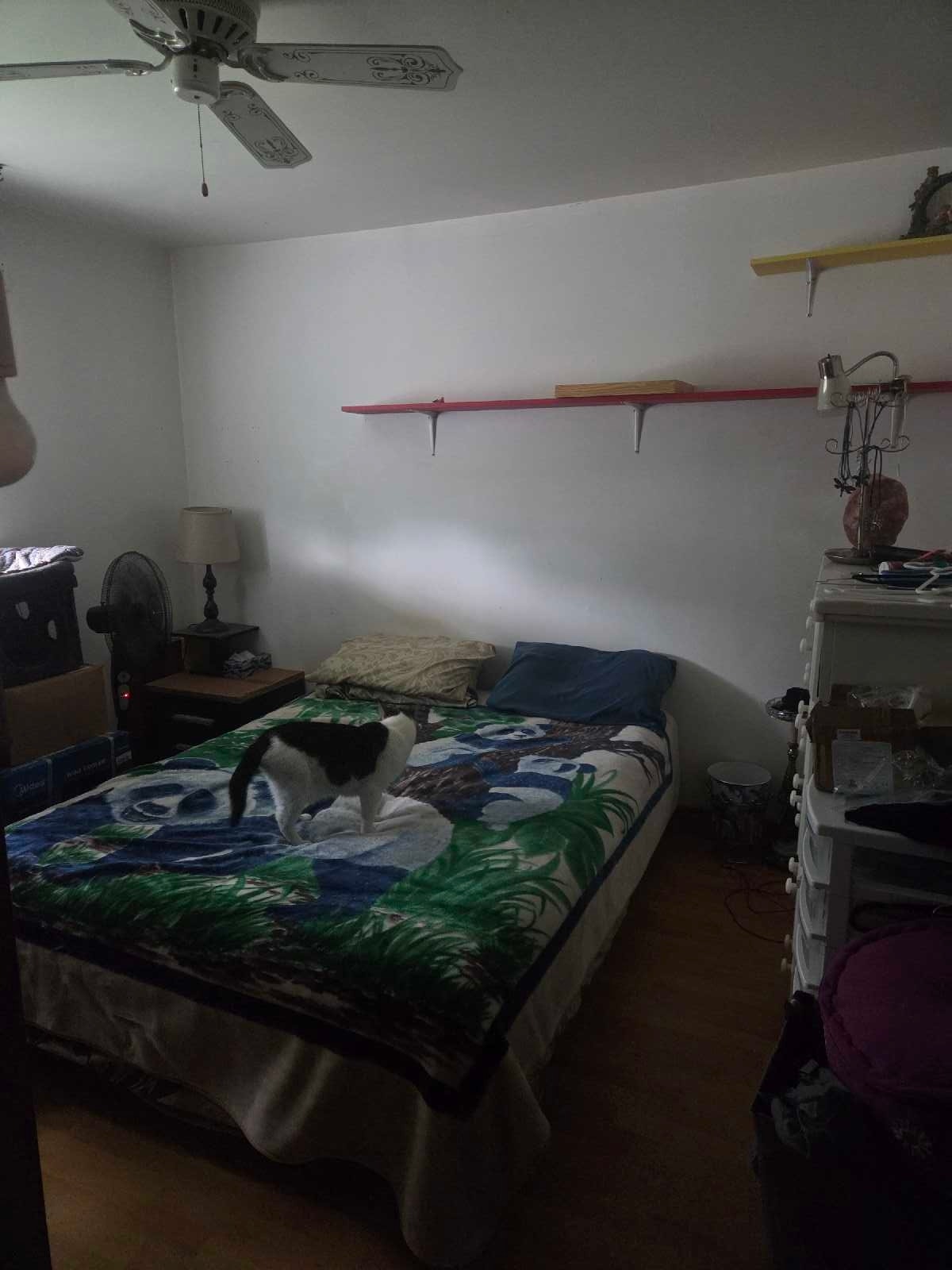 maison a revenue 2 x 5 1/2 a Blainville — photo 2
