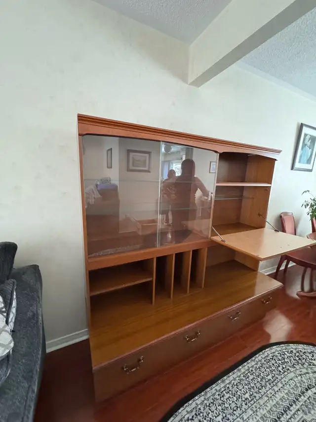 Vintage Style Wall Unit — Mid Century Modern in Bookcases & Shelving Units in Oakville / Halton Region - Image 5