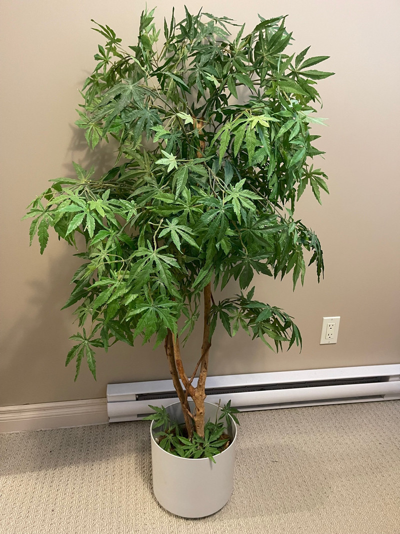 Artificial Plant Home Décor & Accents Calgary Kijiji