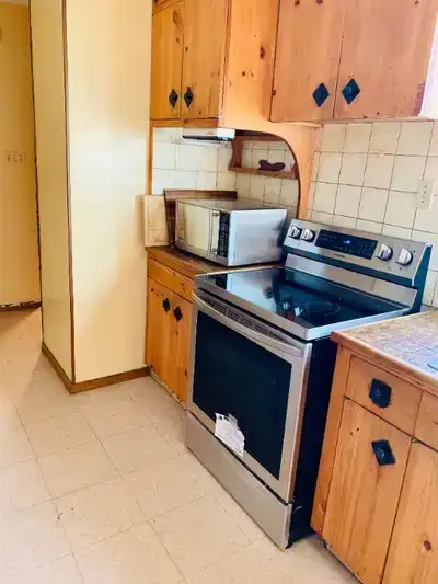 I am looking for a clean and responsible roommate in the south end of the city. The rental comes wit...