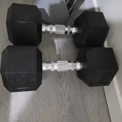 25 lbs hex dumbells, View more