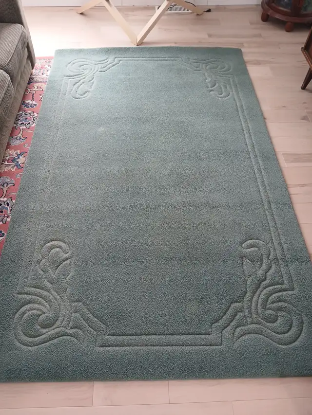 Green Area Rug in Rugs, Carpets & Runners in Ottawa - Image 2