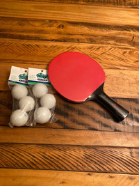 Ping pong paddle and balls 