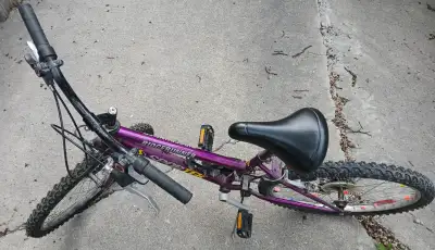 mountain bicycle, 24 inches Rim size. please text on the provided phone number to get faster reply.