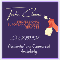 Professional European Cleaning Services