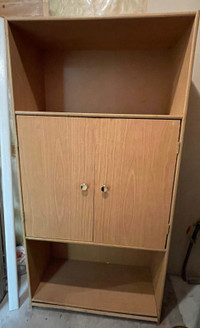 Large cabinet /storage shelf 
