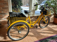 tricycle électrique 24 pouces adultes