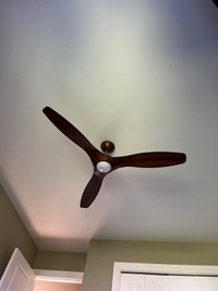 Ceiling fan with light and remote