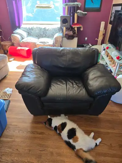 Free!! this little beauty is waiting to go to a new home !! Comfy black chair From pet friendly home...