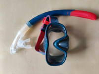 Snorkel with Mask (Adult)