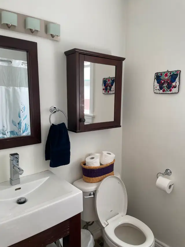 Festival guests! Furnished room in ByWard Market available in Room Rentals & Roommates in Ottawa - Image 8