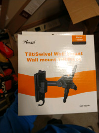 Tilt/swivel wall mount