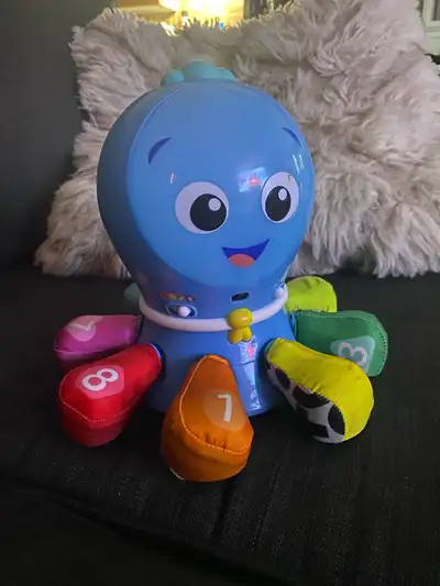 baby octopus, View more