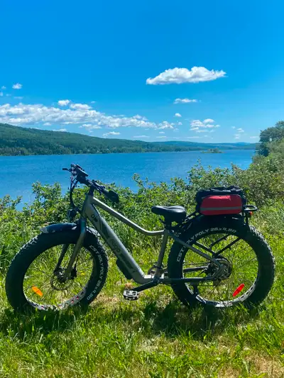 Vélo électrique hybride 4 saisons flambant neuf, View more