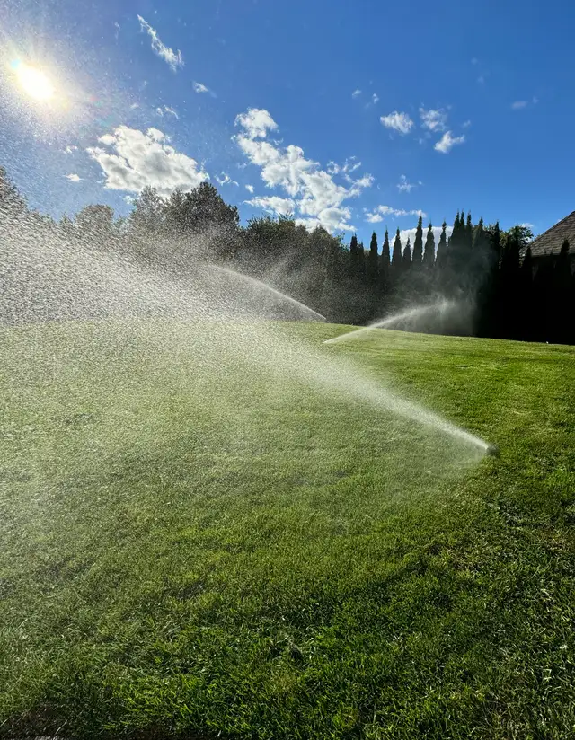 Lawn Sprinkler System