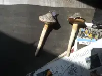 mushroom lawn decor ceramic