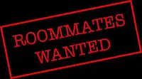 Roommate wanted