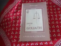 David et Goliath - La famille des fils et Filles de Marie (8)