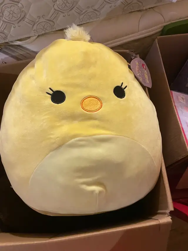  Squishmallows   in Toys in Chatham-Kent - Image 4