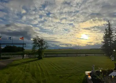Innisfree Alberta 26 acres with two residences, barn, shop, and quonset Check out on Facebook : Berg...