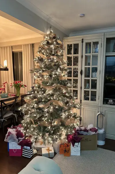Iced Aspen Christmas Tree From Sheridan Nurseries 7.5 ft New in box, just set up for photos This a s...
