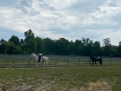 horse riding and lesson fun and activities, View more