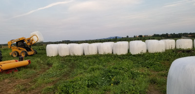 Round wrap bail sillage and hay