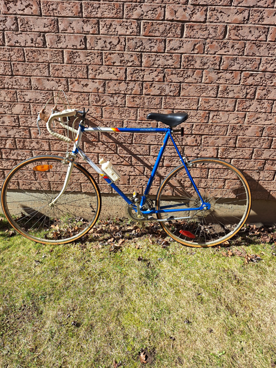 vintage Men's 12 Speed Supercycle with 25" frame and 27" wheels, View more