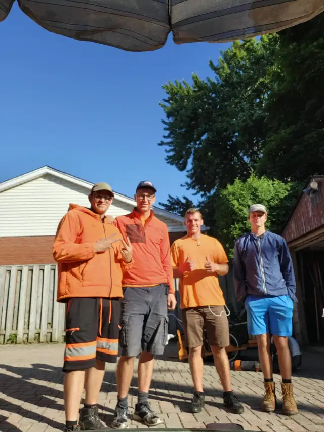 Stump Grinding62863713728129122
