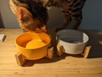 Ceramic pet bowl on bamboo stand | Marble &amp; Yellow