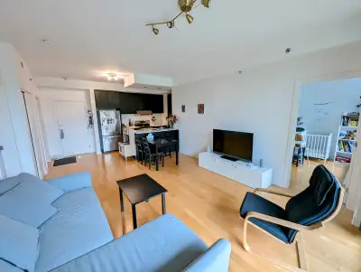 Grand 4½ – Station Rosemont à 2 min – 1er août