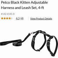 Kitten harness and leash