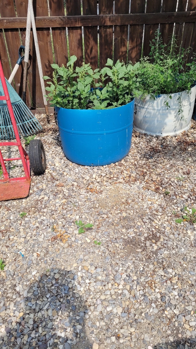 5 planters full of excellent soil Free Stuff Calgary Kijiji