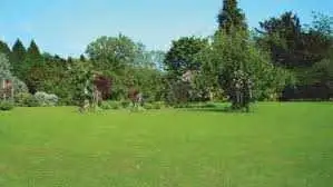 lawn mowing62865710204929122