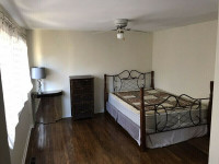 Room for rent Morningside & 401