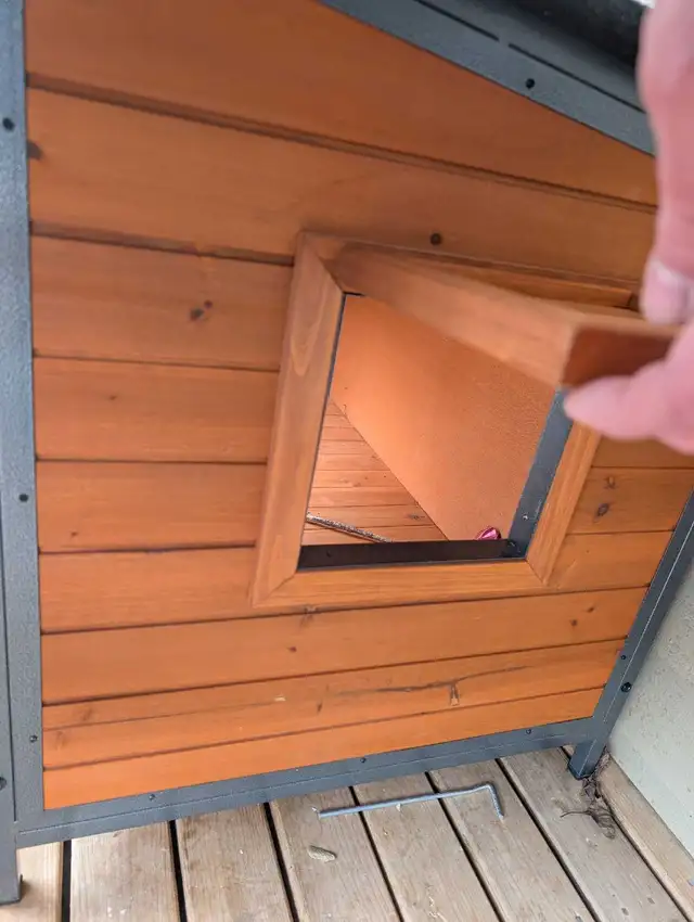 brand new dog house  in Animal & Pet Services in Moncton - Image 3