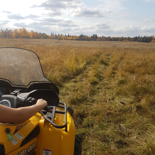 320 ACRES RM 491 BUCKLAND Land for Sale Prince Albert Kijiji