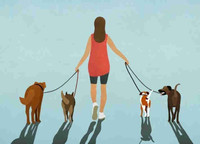 Promeneuse & gardienne d'animaux / dog walker & sitter