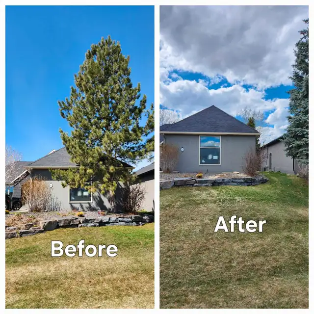 Papa Chops Tree Service63005665288193123