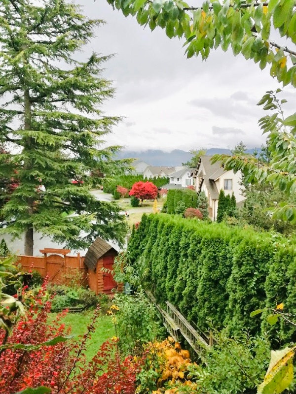 Beautiful, large and clean room East Abbotsford, great location Room