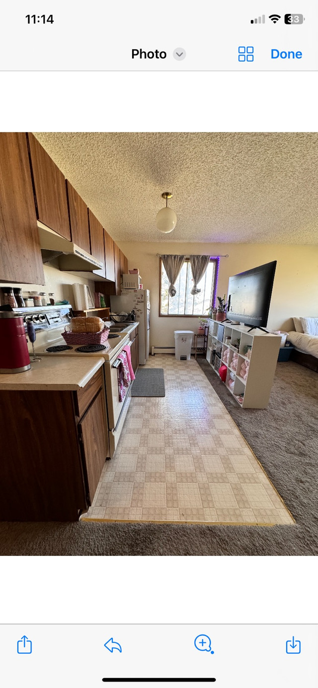  Bachelor suite apartment  in Milk River in Long Term Rentals in Lethbridge