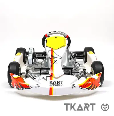 Racing go kart cadet sized (for kids) for sale with race legal Briggs 206 engine. Chassis is a Repub...