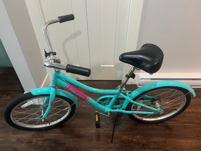 Raleigh Sunrise Youth Cruiser Bike, 20-in, Teal in Kids in Tricities/Pitt/Maple