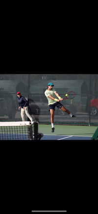Tennis hitting partner 