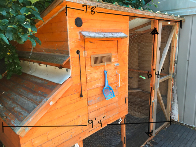 Poulailler-chicken coop dans Animaux de ferme  à Longueuil/Rive Sud - Image 2