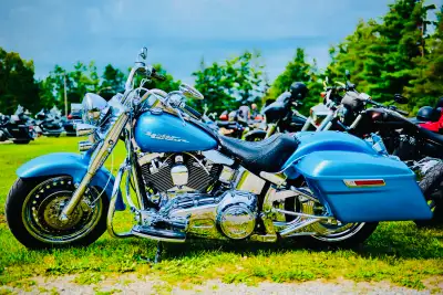 Mint condition, 46,000 km Everything stock has been changed on this mutiple award winning 2011 FLSTF...